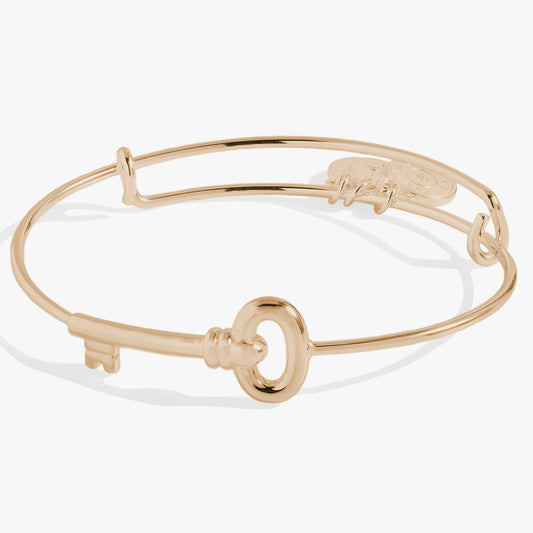 Alex and Ani Key Bangle