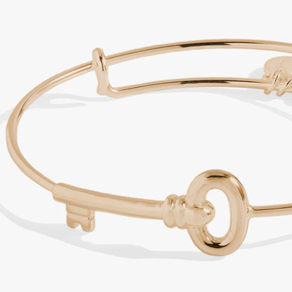 Alex and Ani Key Bangle