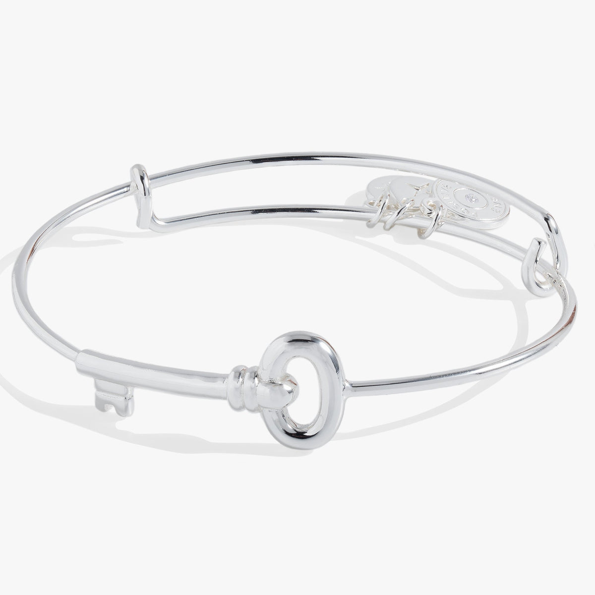 Alex and Ani Key Bangle