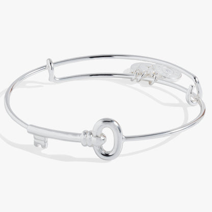 Alex and Ani Key Bangle