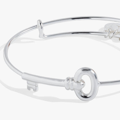Alex and Ani Key Bangle
