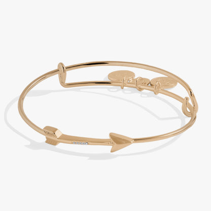 Alex and Ani In-Line Arrow Bangle