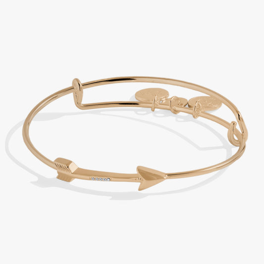 Alex and Ani In-Line Arrow Bangle